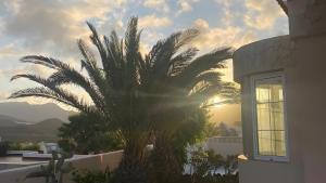 El Paraiso