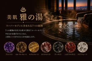 Hotel MAISAKURA MIYABI