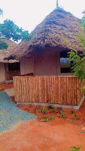 Eco tent lodge