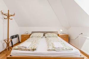 Garni Apartments Bovec - Triglav