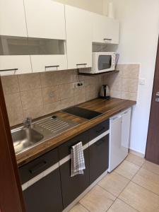 Apartmány Fridrich