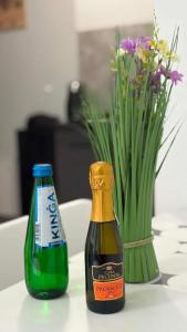 Studio Borowska 268 standart free parking