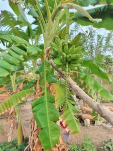 Rancho Santiago Ecotour