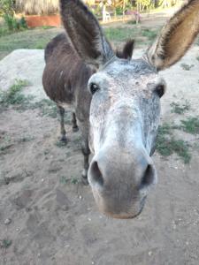 Rancho Santiago Ecotour