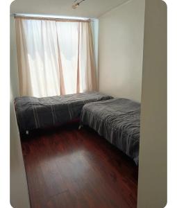 Amunategui 2090