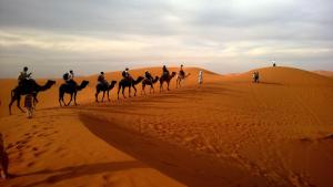 Tachafine Luxury Camp & Desert Activities