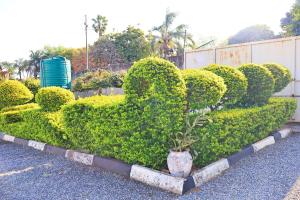 Kaste Guest House