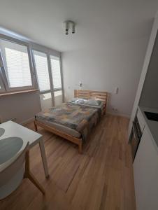 Studio near the city center