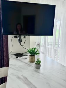 Apartments Studio Versailles Park 2