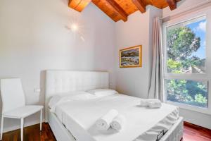 Paul Spacious Central Apart & Garage - Happy Rentals