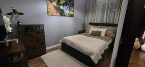 Apartament Pod Winnym Gronem z garażem