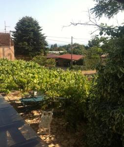 Charming apartment in Zambratija, 44 sqm, Parking included