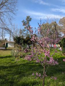 Casa de huespedes en terreno compartido