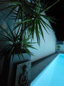 villa garden priv heated pool, near beach, lisbon