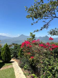 Titiribi-Antioquia- Cabaña el sol
