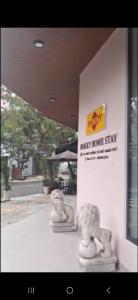 Hokky homestay