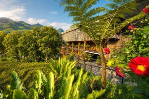 MT Homestay Terraced Fields - Sa Pa Trekking Tour Tả Van