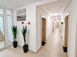 Lennon apartments