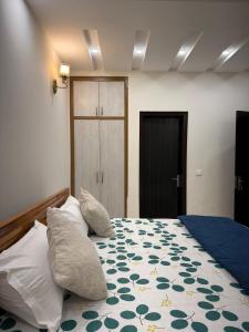 Luxury AC 4-BHK Vasant Kunj ILBS South Delhi