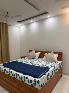 Luxury AC 4-BHK Vasant Kunj ILBS South Delhi