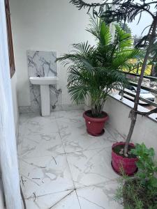 SriSadan Peaceful Stay Near the Ganges