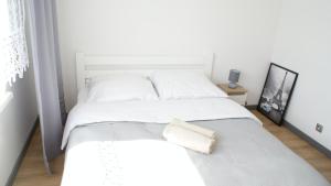 Apartament CENTRUM- HETMAN