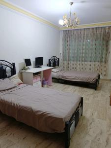 Oferta noclegów 17195533