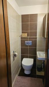 BRAUN APARTMENT CENTRUM & 24h self check-in with private parking
