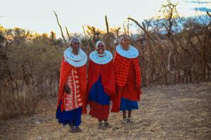 Oltare Safari Homestay