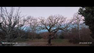 La Fabbrichina nel verde