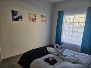 Windhoek Oasis