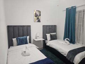 Windhoek Oasis