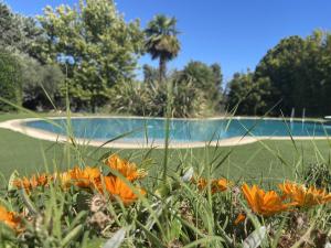 4 bedroom Luxury Villa with Swimming Pool and Lush Gardens Close to City & Beach