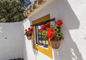 Finca Todos
