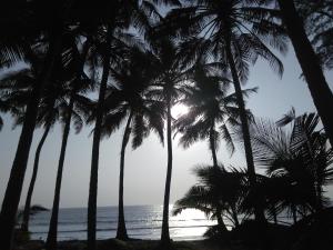 Anandi Villa Homestay