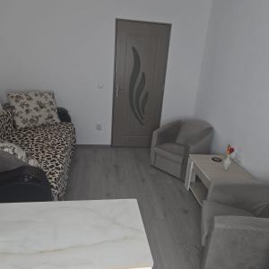 Montain apartament