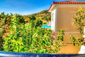 Dryoussa Apartments Samos Greece