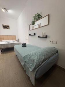 Magallanes 8 - Suite - Triana -