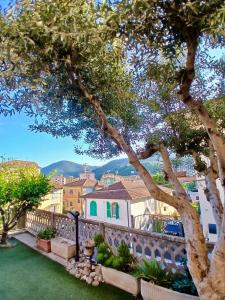 LUlivo al 38 - Porta delle Cinque Terre