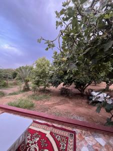 Maison á la campagne SIDI CHAFI