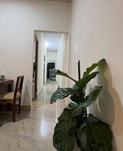 Coco homestay