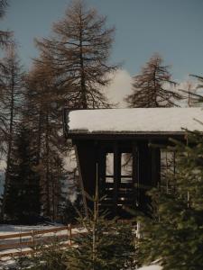 Chalet Zuegg