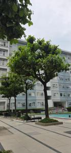 Hestia Suite at Trees Residences