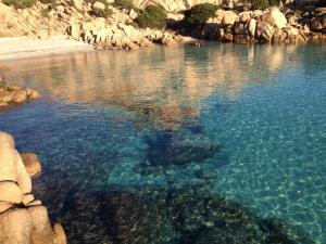 Stella di Mare img17