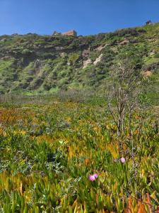 Hostal Maitencillo Sur