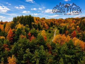 Skrzydlata Chata Osada PTOSEK Bieszczady
