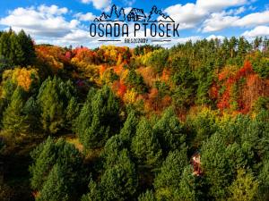 Skrzydlata Chata Osada PTOSEK Bieszczady