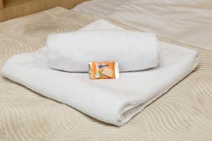 Oferta noclegów 17197834