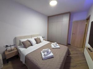 Silver Lux Apartman - Free SPA