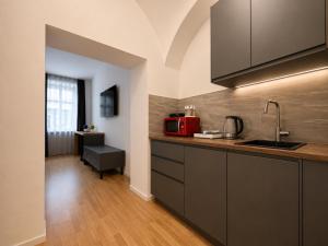 Two Master Suites near MuseumsQuartier